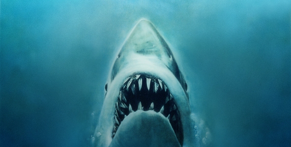 jaws_592x299