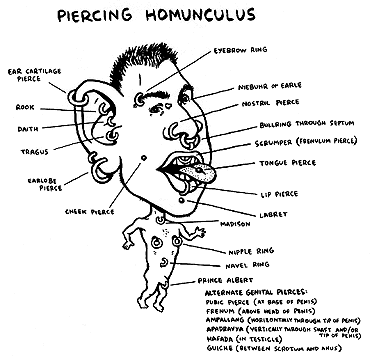 Guide to Piercings