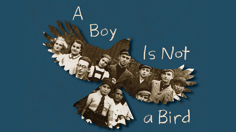 "A Boy Is Not A Bird" book cover